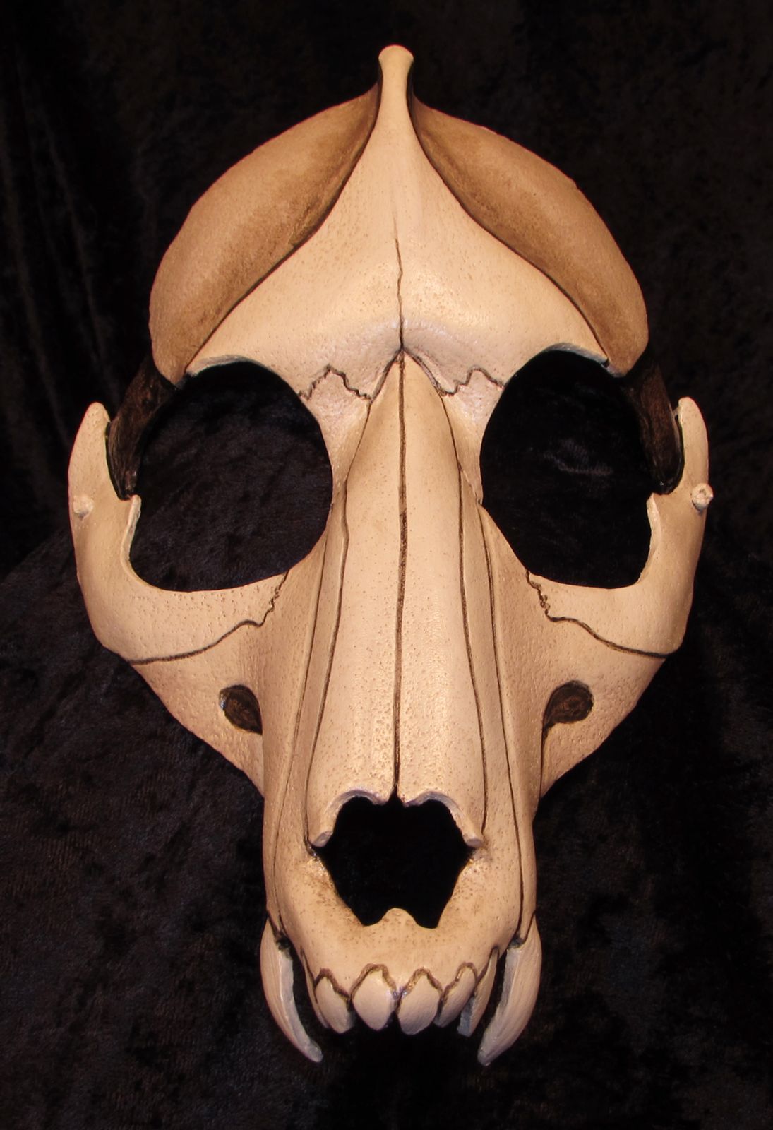 Canid skull mask.