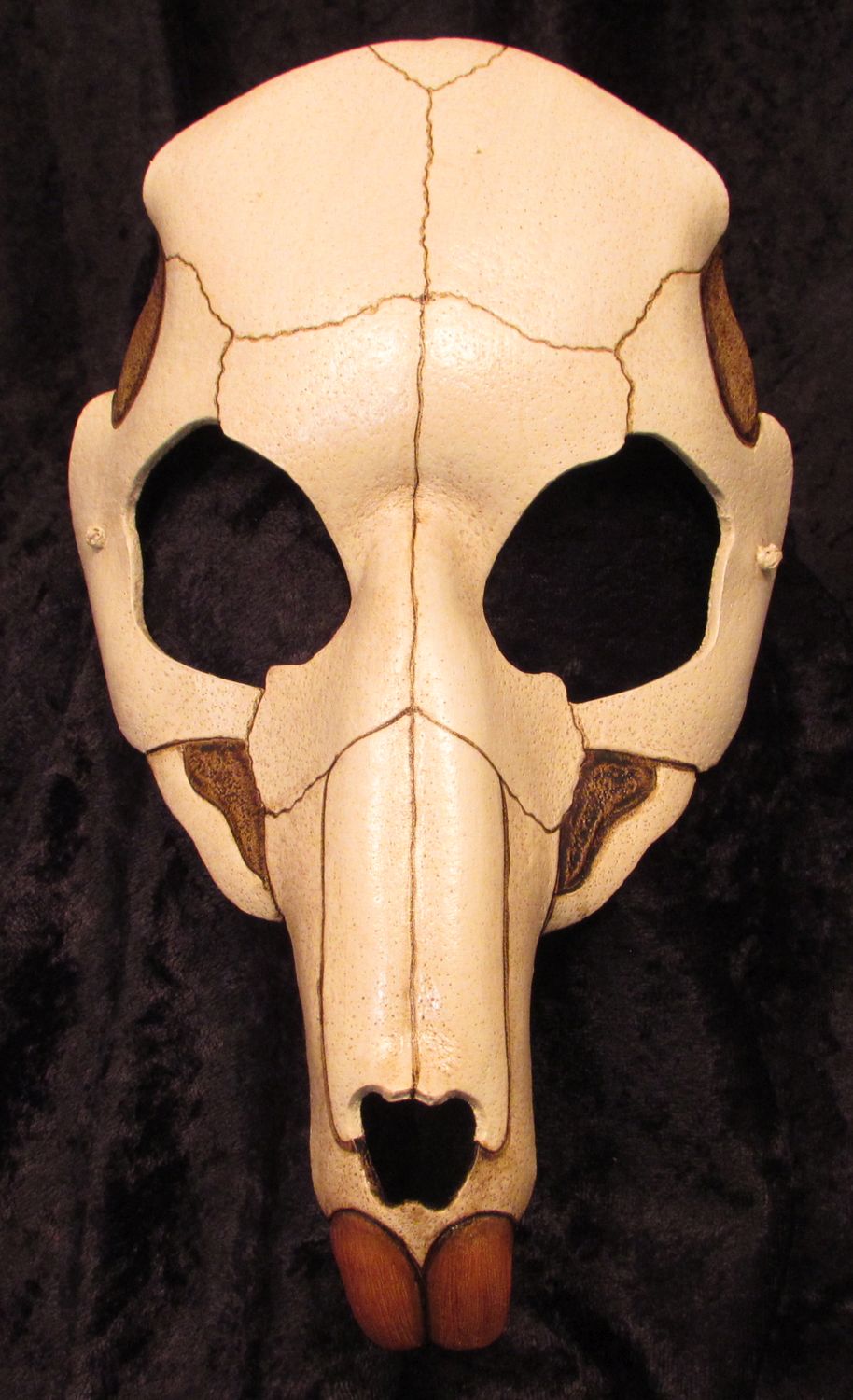 Rodent skull mask.